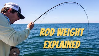 Fly Rod Weights Explained (Simple Guide for Beginners)
