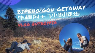 Beautiful Bipenggou and 7-Hour Hike | 川西理县毕棚沟vlog | Tibetan Highlands of Sichuan, China