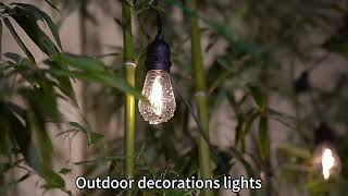 WENDADECO best LED s14 outdoor festoon lights supplier and installation