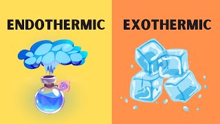 Endothermic and Excothermic Phase Changes