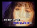 xin tri Ân karaoke