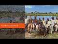 Guide Excellence - African Bush Camps