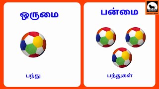 ஒருமை பன்மை | Orumai Panmai | Singular plural in tamil for kids #Tamil | @Simma VishnuB