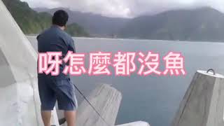 粉鳥林釣魚