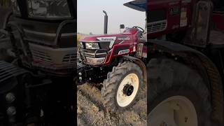 Sandhu farm😍🚜#youtube #youtubeshorts #trending #viralvideo #viralshort #viralshorts #reels #video