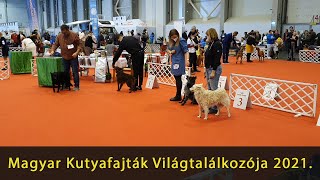 Magyar Kutyafajták Világtalálkozója 2021.