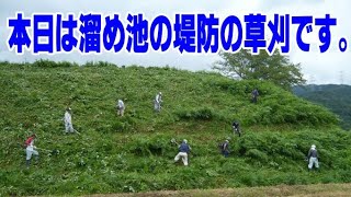 【草刈り】堤防の斜面は広くて滑ってもう大変！