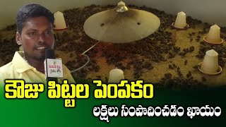 Make Huge profit out of Quail farming | కౌజు పిట్టల పెంపకం నుండి భారీ లాభం పొందండి ||SumanTV Rythu||