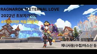 4주년이지만 처음처럼 4편 [RAGNAROK M 2022년 초보자가이드] 3주차 이후 셋팅 및 성장방향