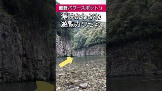 見れたら超幸運※龍神様の棲家「瀞峡」玉置神社の御手洗池！熊野パワースポット