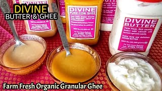 ராசிபுரத்து சுவையான நெய்யும், சுத்தமான வெண்ணெய்யும் | DIVINE BUTTER AND GHEE