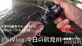 シーバス釣りVlog 今日の鶴見川 2023年6月27日（1スレバラシ）他魚種ですがスレでばれました