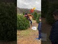 a lumberjack nah that’s just jack 🤣🌲 12daysoflols funny fail holiday christmas fall afv