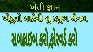 kheti gyan l ખેતી જ્ઞાન l ખેતીની વાત l આધુનિક ખેતી પદ્ધતિ l