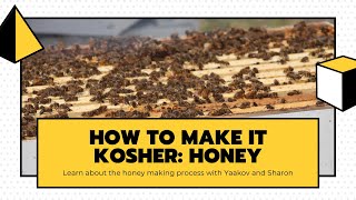 How to make it kosher | Honey | KosherEye