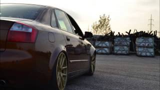 Static crews audi a4 b6 Lowered