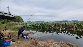 엄청난 놈! 대박!! 100만뷰 #shorts #붕어낚시 #fishing