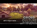 cross culture adk u0026 gajan ft. randhir u0026 sahan lyrical video