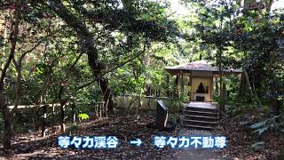 【おすすめ散歩】【都会のオアシス】等々力駅、等々力渓谷、等々力不動尊