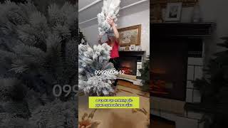 Сосна засніжена #christmastree #xmas #home #christmas #ялинкизковалівки  #christmasiscoming #decor