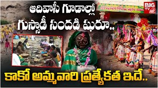 ఆదివాసీ గూడాల్లో గుస్సాడీ సందడి షురూ.. | Adivasi Dandari Festival | Kokabai Temple | BIGTV