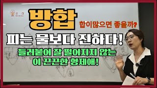 방합(方合)의 이해: 잘 떨어지지 않는 끈끈한 형제애.