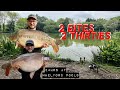 2 Bites, 2 Thirties! || Whelford Pools, Top Lake || Martyns Angling Adventures