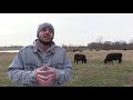 part 1 humane harvesting grassfed beef buying guide