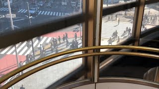 渋谷駅前 ビックカメラ シースルーエレベーター Glass Lift Elavator Cityscape【Window View】