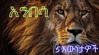 ስለ አንበሶች የማታውቁት 5 አስደናቂ እውነታዎች!