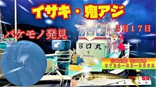 バケモノ発見！ ５月１７日