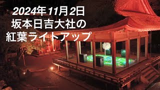 2024年11月2日 大津市坂本の日吉大社の紅葉ライトアップ