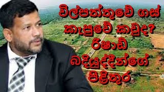 විල්පත්තුවේ ගස් කැපුවේ කවුද? රිෂාඩ් බදියුද්දීන් ගේ පිළිතුර