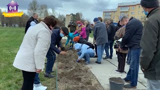 У Славутичі висаджено 200 кущів троянд до 35 роковин аварії на ЧАЕС