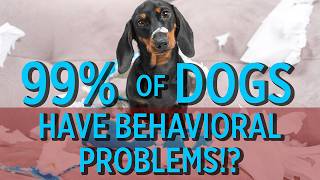 Do 99% Of Dogs Really Have Behavior Problems? Unpacking The Truth Behind Claims And What You Can Do