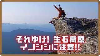 それゆけ！生石高原　イノシシに注意！