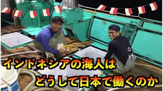 【沖縄のマグロ船で働く男達】日本の水産業を支えている外国人達