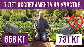 Копать или не копать грядки? Результат 7-летнего эксперимента на участке