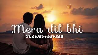 Mera Dil Bhi Kitna Pagal Hai ( Slowed + Reverb) || Stebin Ben || Music Lovers || slowed and reverb