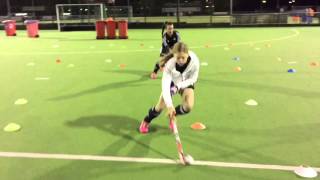 SKILLZ hockeysupport - ML Hockeyschool  - vermogenstraining