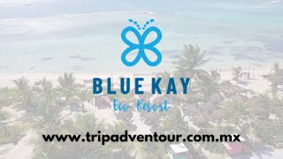 Eco Cabañas Bluekay (Mahahual) | TripAdventour