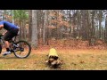 How to Jump a Log on a Mountain Bike How to Jump a Log on a Mountain Bike