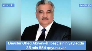 Deyirlər Əhəd Abıyev-İH başçısının yaylaqda  35 min 854 qoyunu var