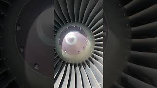 Which A320 CEO engine is more popular?V2500 or CFM 56?#airbus #aviation #airbus #a320 #cfm56 #v2500