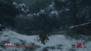 SEKIRO　死なず半兵衛を崖に落としてみる