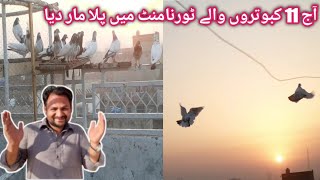 آج 11 کبوتروں والے ٹورنامنٹ کے ساتھ پلا مار دیا