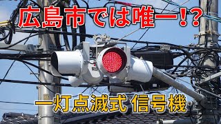 広島市では唯一！？  の一灯点滅式信号機　【広島県の信号機】