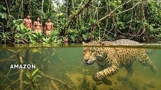 AMAZON | The Dangerous Jungle on Earth | 4K Travel Documentary