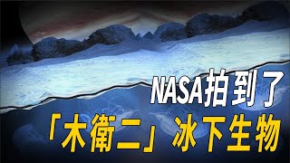 美探測器首次傳來！木衛二地下冰洋有神奇物種？高於地球2倍的含水量，它們會以什麼形態存在？科學家表態：極有可能是巨型章魚| 腦補大轟炸