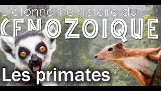 Evolution des primates - Paléontologie - Simplex Paléo